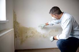 Best Comprehensive Air Testing for Mold Contaminants  in Cottonwood Heights, UT